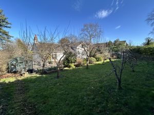 Photo 27- click for photo gallery